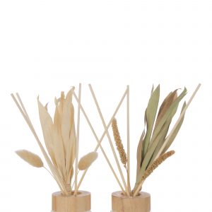 DIFFUSEUR PARFUMEE AVEC FLEURS TEA TREE