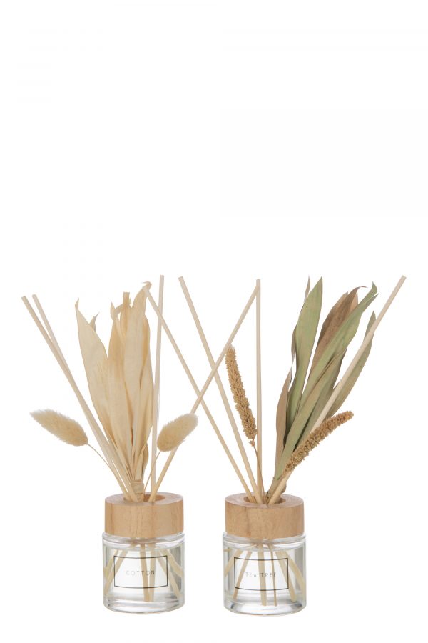 DIFFUSEUR PARFUMEE AVEC FLEURS TEA TREE